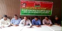 bnp o