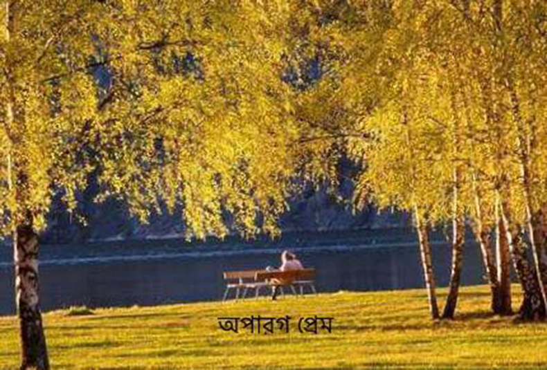 অপারগ প্রেম