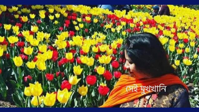 সেই মুখখানি