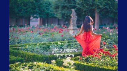 তুমি ও গোলাপ
