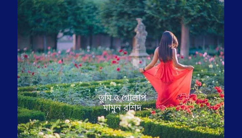 তুমি ও গোলাপ