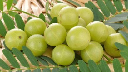 ডায়বেটিস নিয়ন্ত্রণে মহা ওষুধ আমলকী!