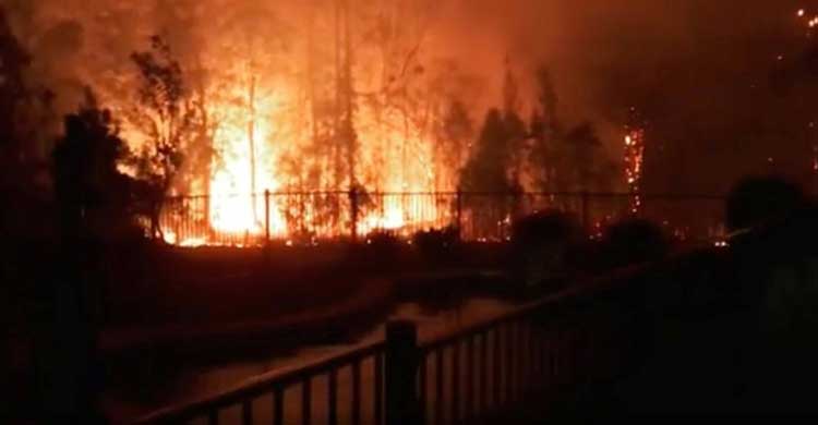 অস্ট্রেলিয়ায় দাবানল : ৩ জনের মৃত্যু, ১৫০ বাড়ি পুড়ে ছাই