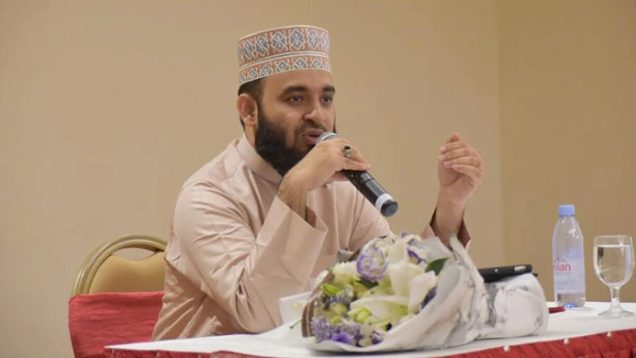 এক নজরে মিজানুর রহমান আজহারী