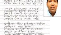 স্বাধীনতা তুমি
