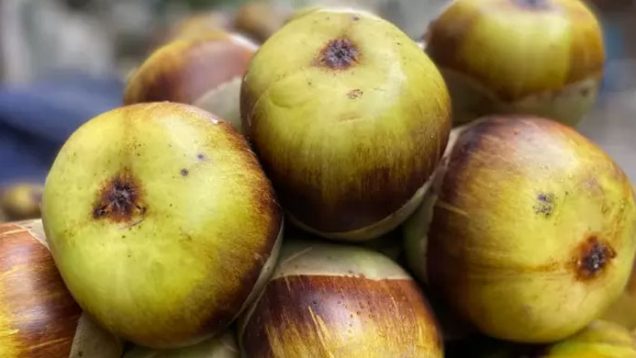 করোনাভাইরাসের সঙ্গে যখন বসবাস: যেভাবে বেঁচে থাকতে পারি
