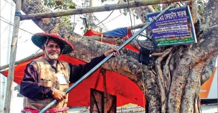 ঘুরে ঘুরে গাছের পেরেক তোলেন তিনি
